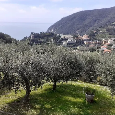 Casa Diana