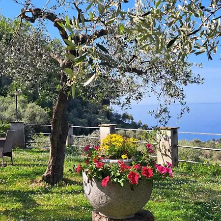 Casa Diana Appartement *